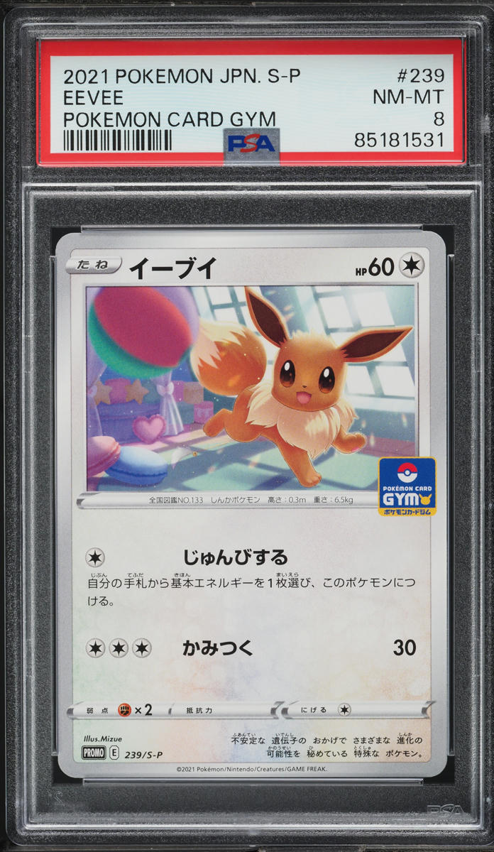 2021 Pokemon Japanese S Gym Promo Eevee #239 PSA 8 NM-MT