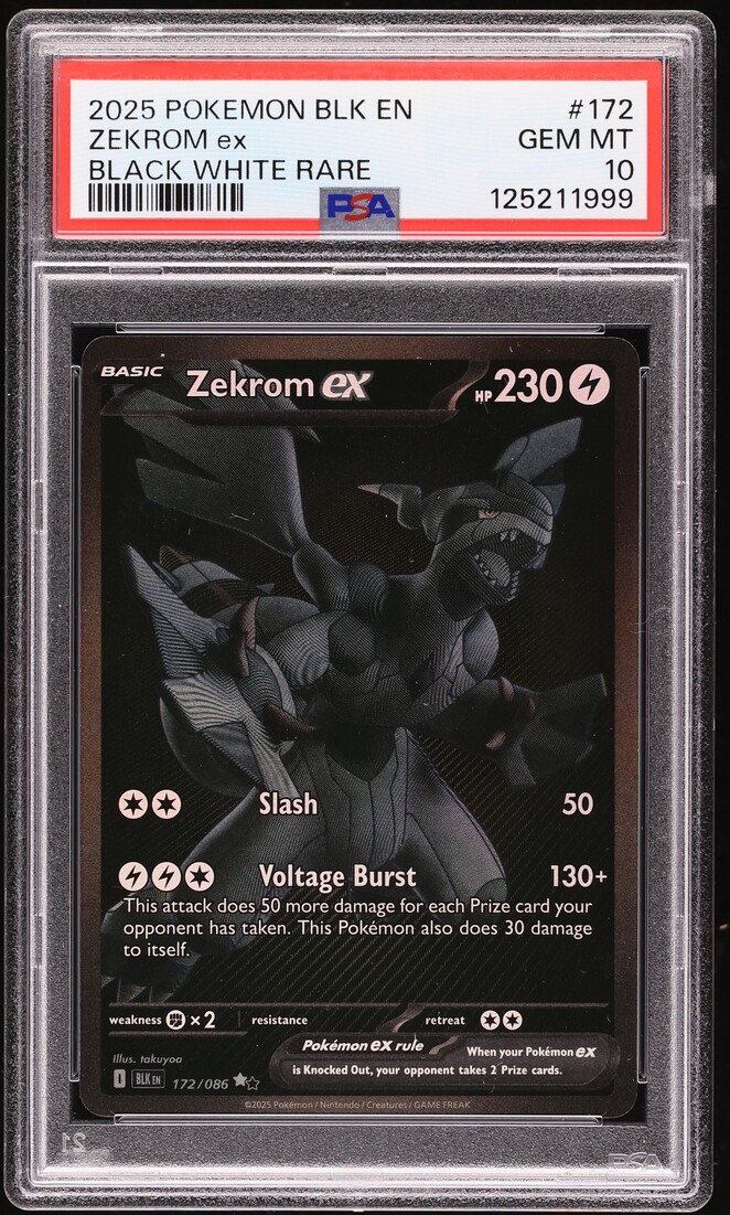 2025 ポケモンカード ゼクロムex #174 Gem Mint 10 2025 ポケモンカード ゼクロムex #174 Gem Mint 10 2025 Pokemon