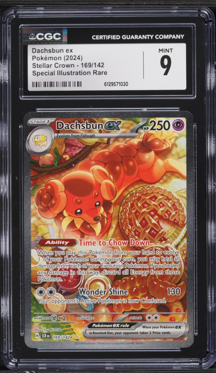 2024 Pokemon Scarlet & Violet Stellar Crown SIR Dachsbun ex #169 CGC 9 MINT