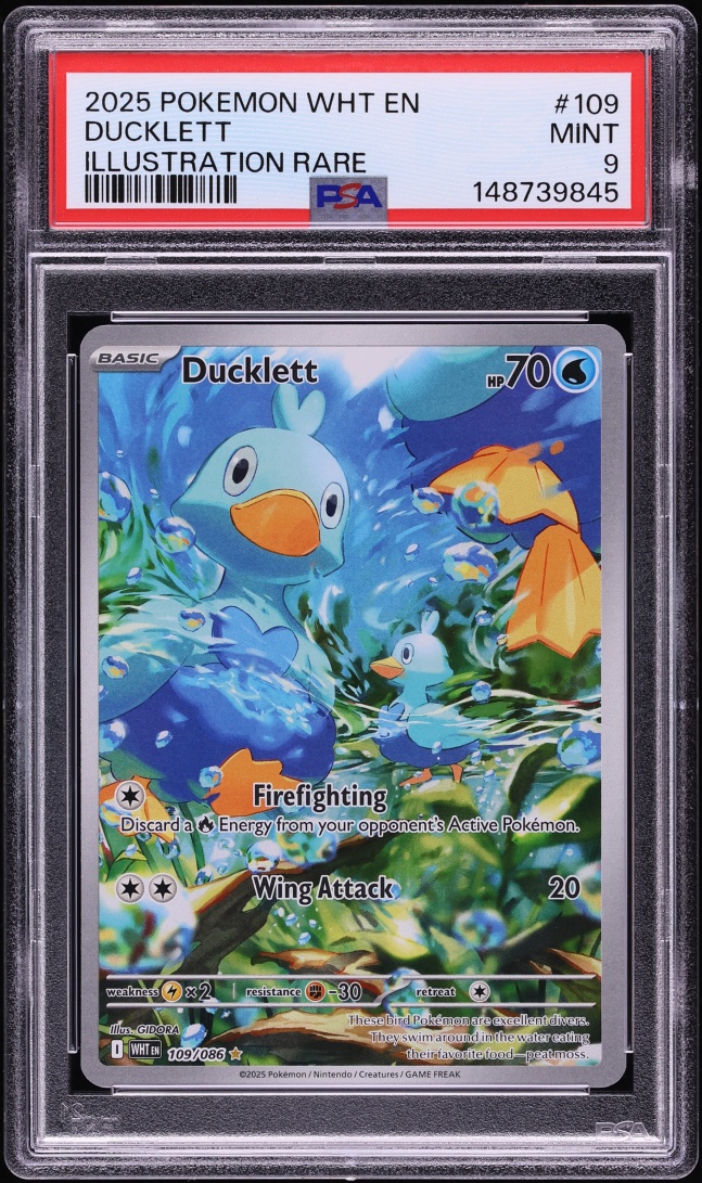 2025 Pokemon Scarlet & Violet White Flare IR Ducklett #109 PSA 9 MINT