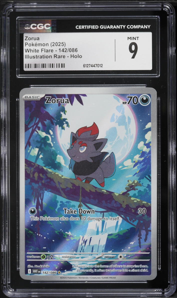 2025 Pokemon Scarlet & Violet White Flare IR Zorua #142 CGC 9 MINT