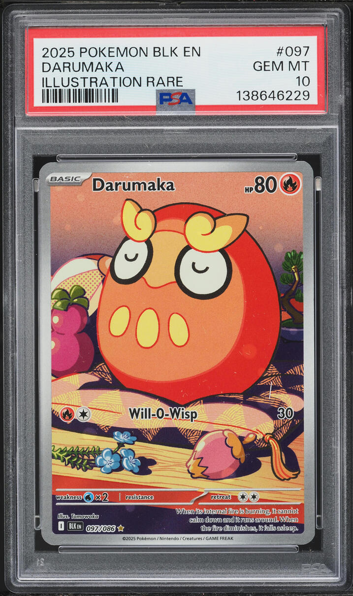 2025 Pokemon Scarlet & Violet Black Bolt IR Darumaka #97 PSA 10 GEM MINT