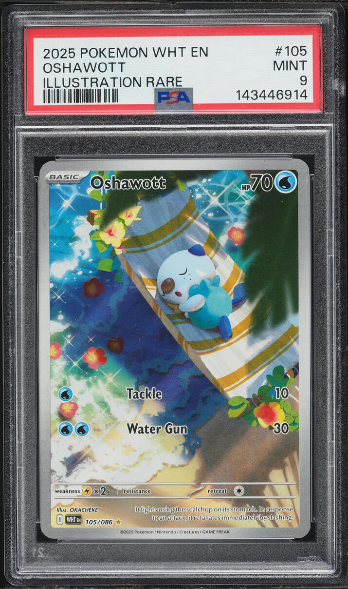 2025 Pokemon Scarlet & Violet White Flare IR Oshawott #105 PSA 9 MINT