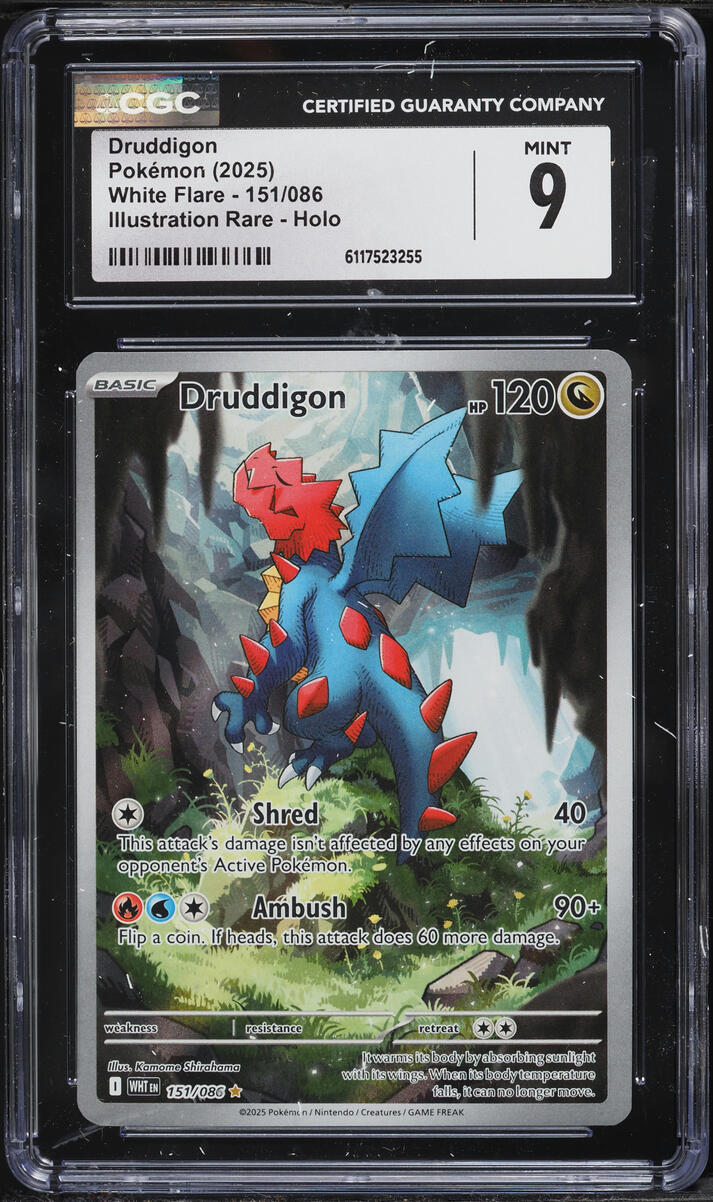 2025 Pokemon Scarlet & Violet White Flare IR Druddigon #151 CGC 9 MINT