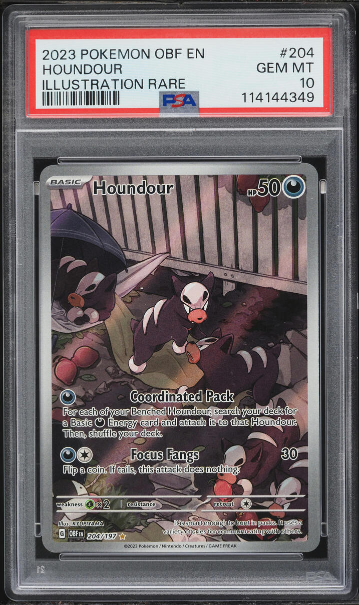 2023 Pokemon Scarlet & Violet Obsidian Flames IR Houndour #204 PSA 10 GEM MINT