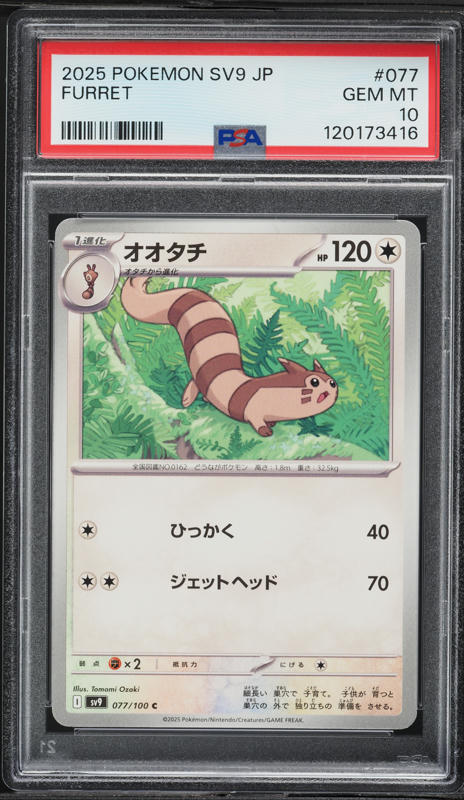 shiny furret pokemon card 2025 Pokemon—Furret #168/159 Journey Together—Illustration Rare Foil ( – Papa Joey's Collectibles Stage 1 Pokémon Card Furret - Battle