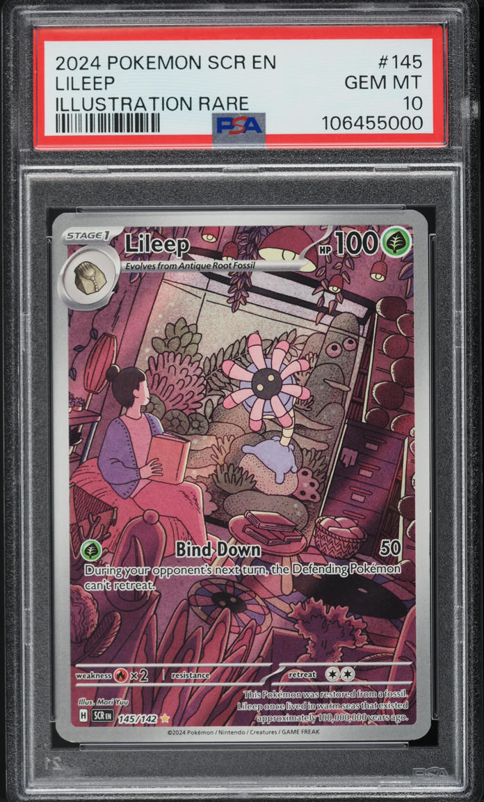 2024 Pokemon Scarlet & Violet Stellar Crown IR Lileep #145 PSA 10 GEM MINT