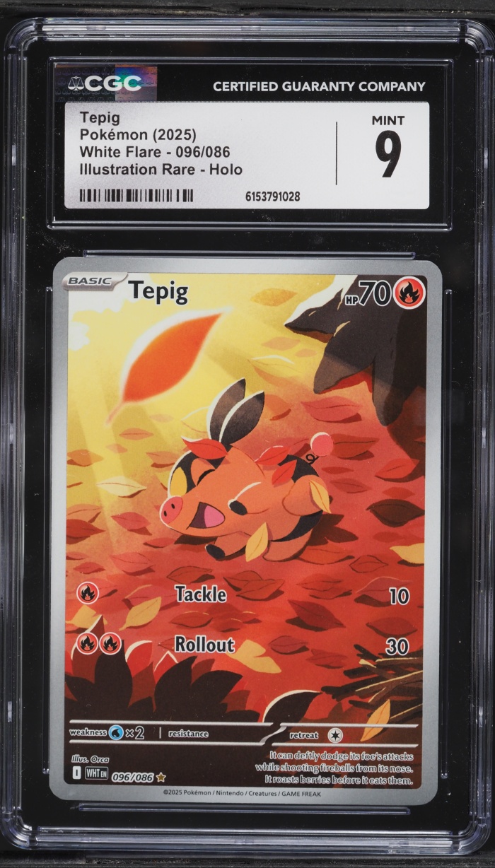 2025 Pokemon Scarlet & Violet White Flare IR Tepig #96 CGC 9 MINT