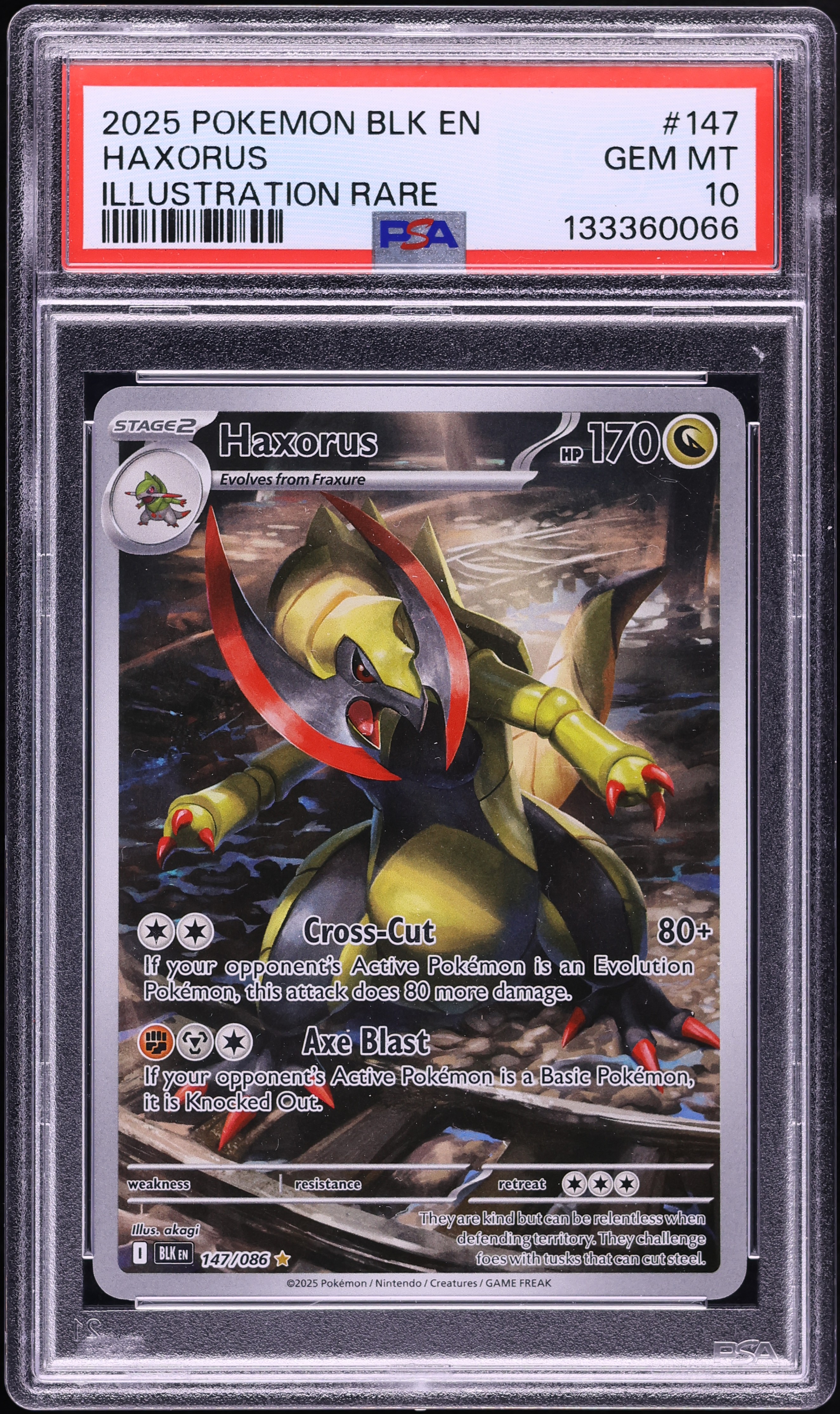 2025 Pokemon Scarlet & Violet Black Bolt IR Haxorus #147 PSA 10 GEM MINT
