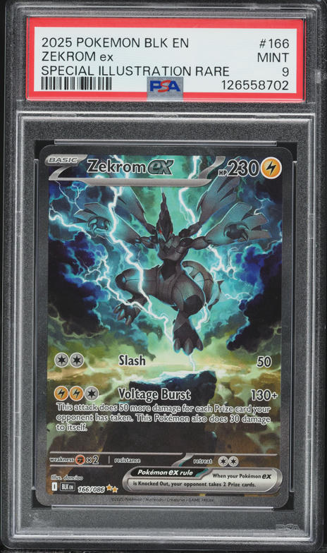ゼクロムex #174 PSA 10 BW RARE PSA 10 Pokemon Card Zekrom ex BWR
