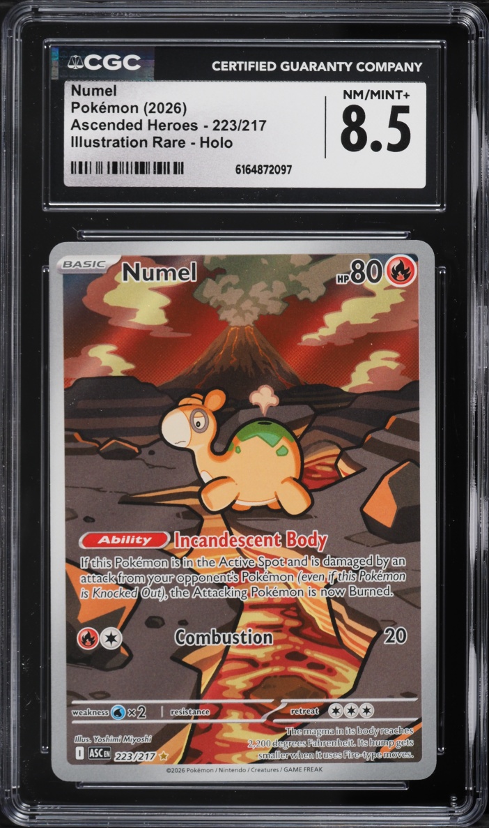 2026 Pokemon Mega Evolution Ascended Heroes IR Numel #223 CGC 8.5 NM-MT+