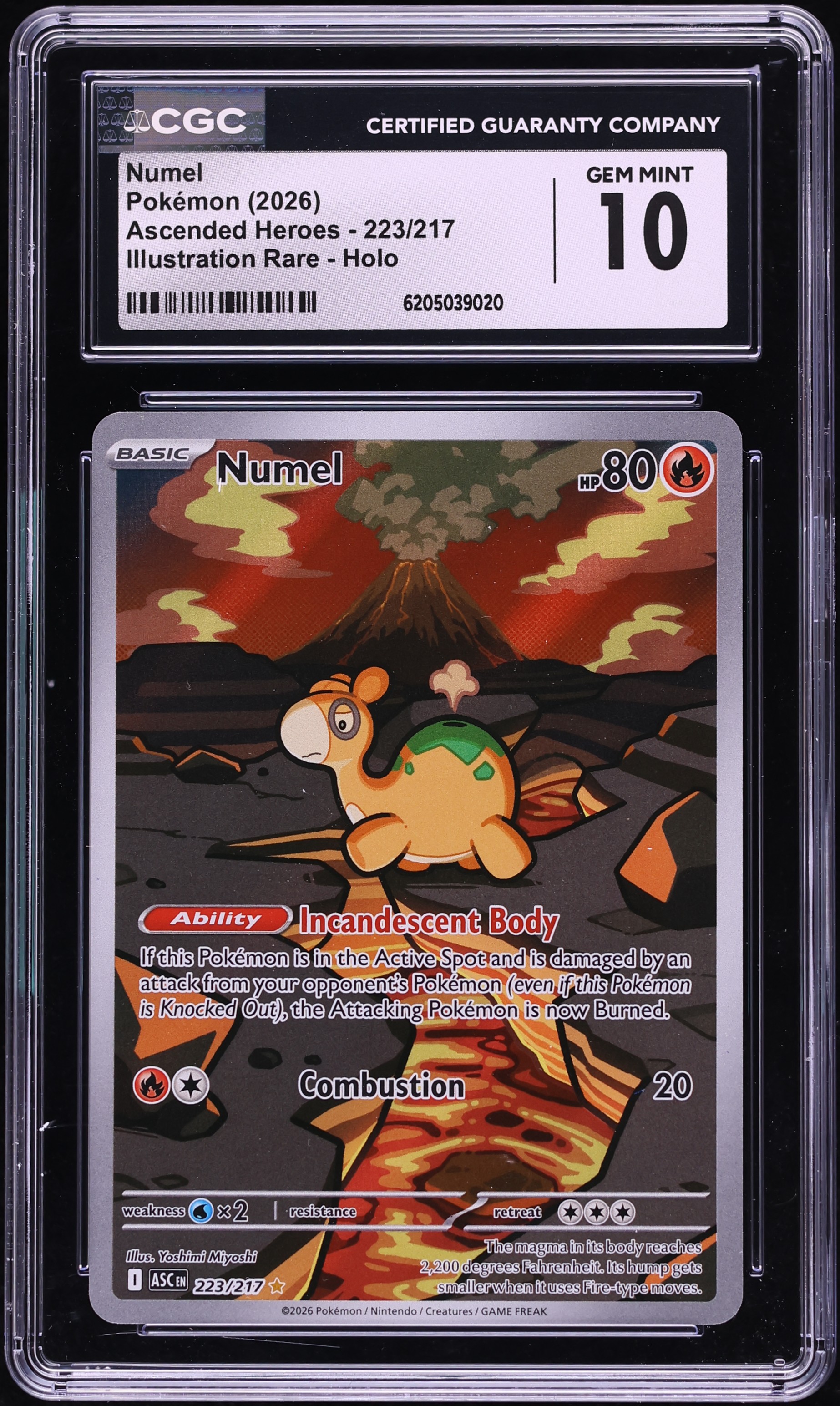2026 Pokemon Mega Evolution Ascended Heroes IR Numel #223 CGC 10 GEM MINT