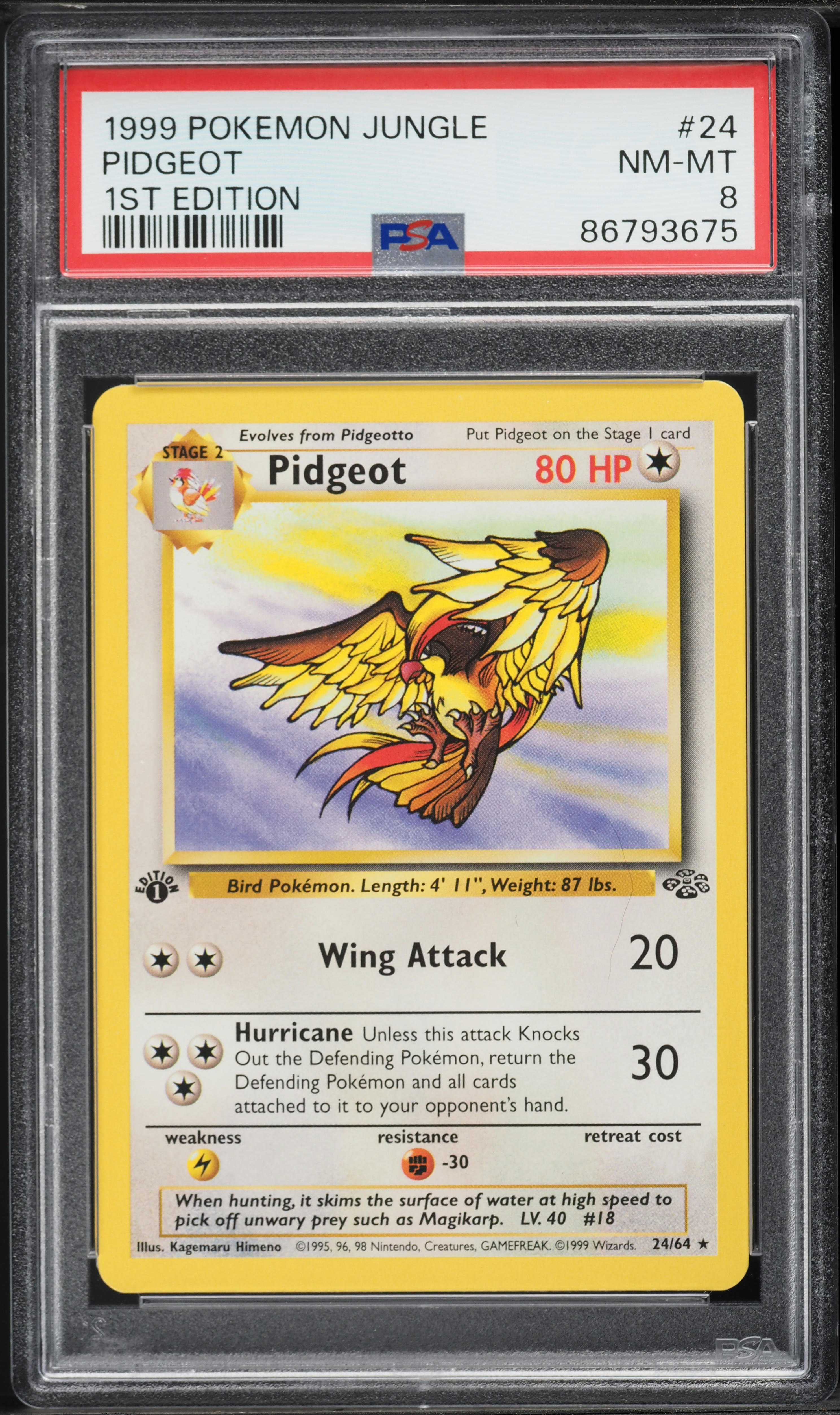1999 Pokemon Jungle 1st Edition Pidgeot #24 PSA 8 NM-MT