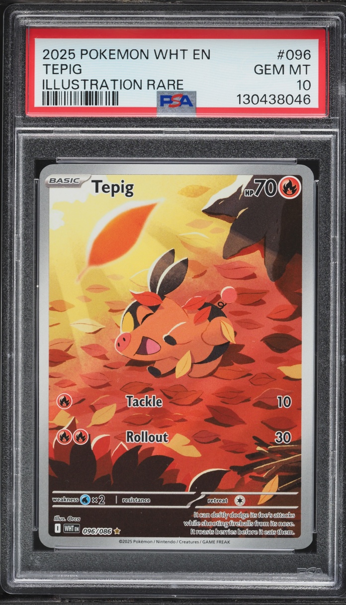 2025 Pokemon Scarlet & Violet White Flare IR Tepig #96 PSA 10 GEM MINT