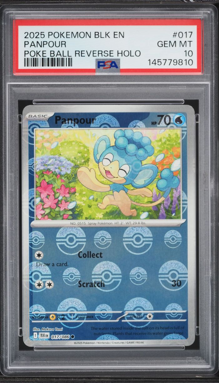 2025 Pokemon Scarlet & Violet Black Bolt Poke Ball Reverse Holo Panpour #017 PSA 10 GEM MINT