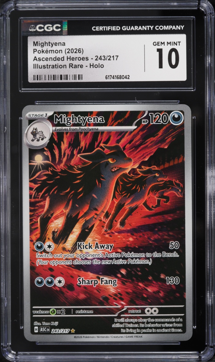 2026 Pokemon Mega Evolution Ascended Heroes IR Mightyena #243 CGC 10 GEM MINT