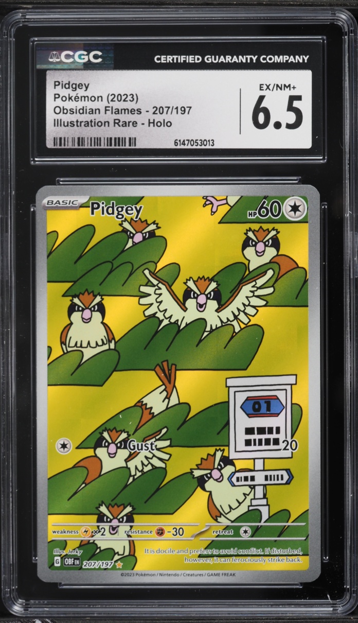 2023 Pokemon Scarlet & Violet Obsidian Flames IR Pidgey #207 CGC 6.5 EXMT+