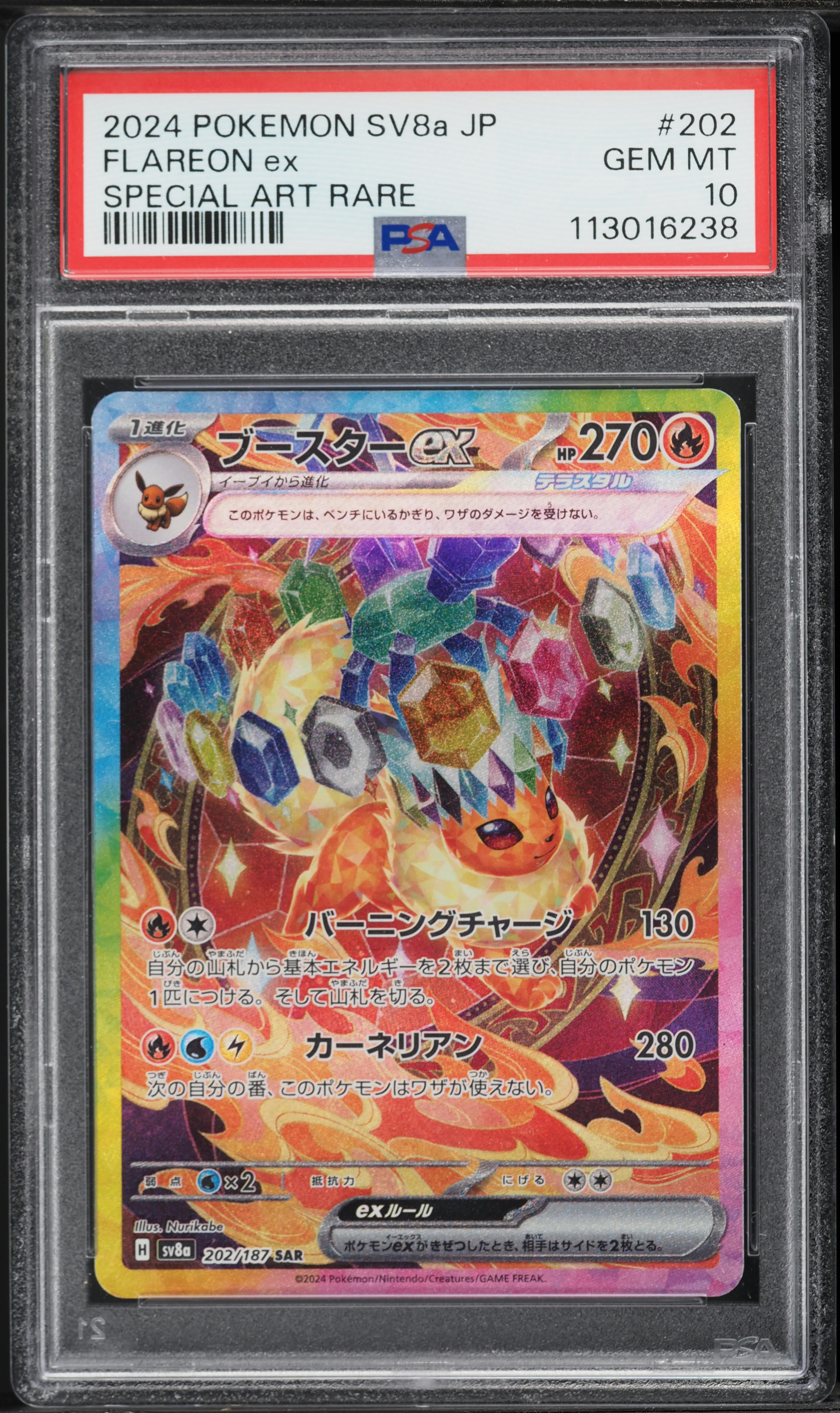 2024 Pokemon Japanese Scarlet & Violet Terastal Fest Ex SAR Flareon ex #202 PSA 10 GEM MINT
