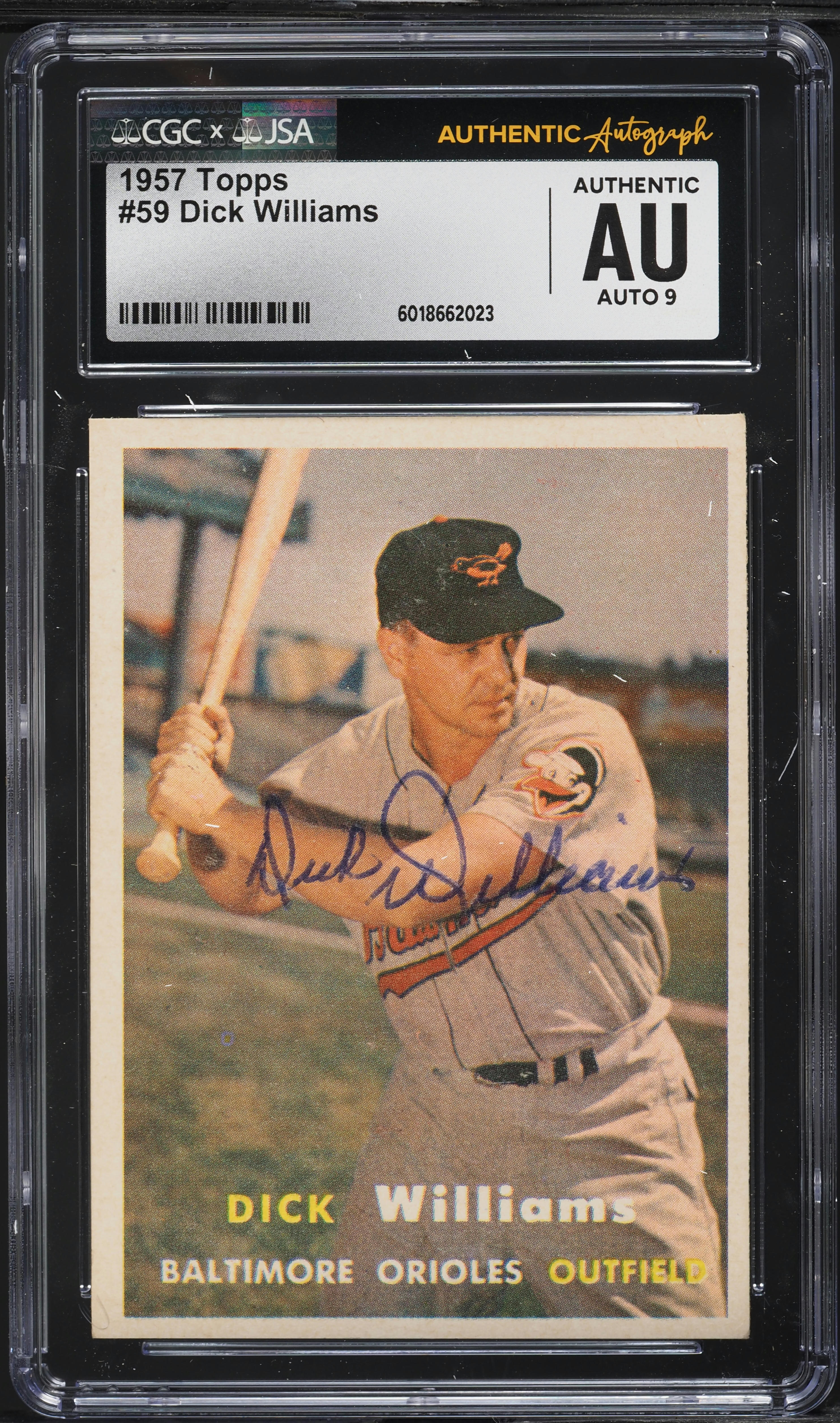 SA✩TO 81CX7EW9hKL._UF350,350_QL80_.jpg