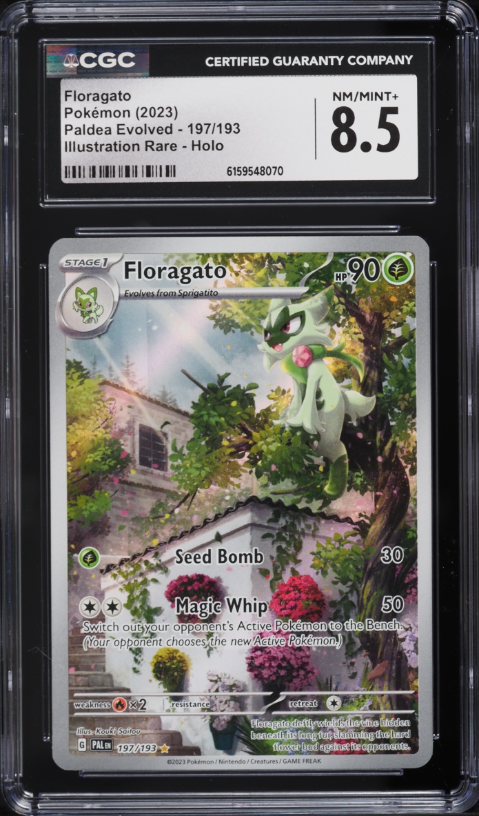 2023 Pokemon Scarlet & Violet Paldea Evolved IR Floragato #197 CGC 8.5 NM-MT+