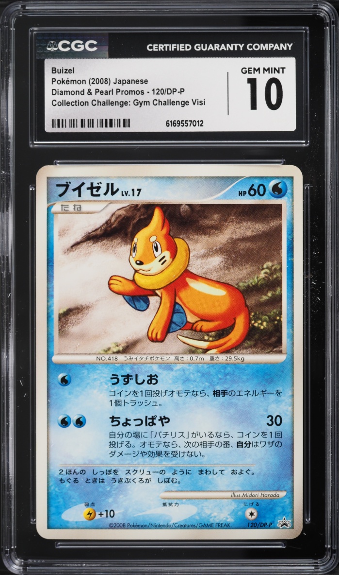 2008 Pokemon Japanese DP Promo Gym Challenge Visitors Prize Holo Buizel #120/DP-P CGC 10 GEM