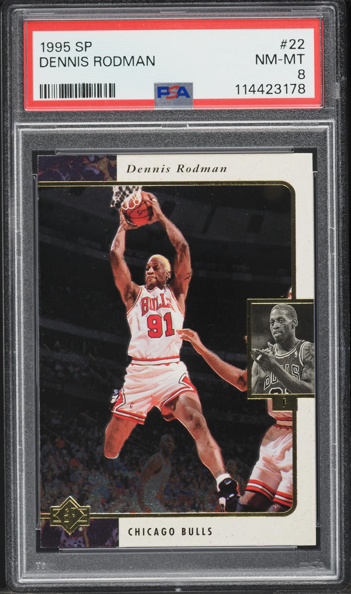 1995 SP Basketball Dennis Rodman #22 PSA 8 NM-MT