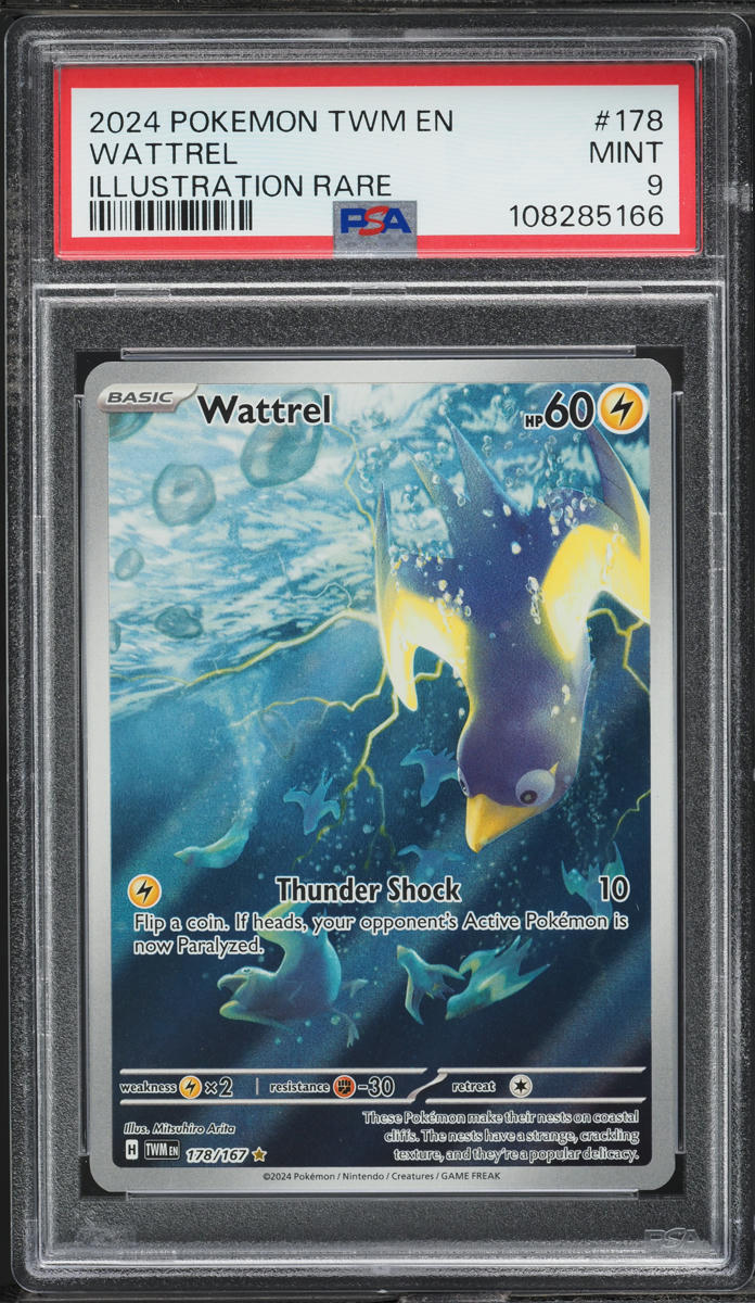 2024 Pokemon Scarlet & Violet Twilight Masquerade IR Wattrel #178 PSA 9 MINT