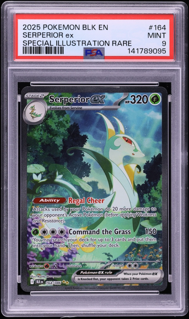 2025 Pokemon Scarlet & Violet Black Bolt SIR Serperior ex #164 PSA 9 MINT