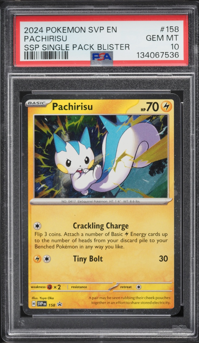 2024 Pokemon SV Black Star Promo Single Pack Blister Pachirisu #158 PSA 10 GEM MINT