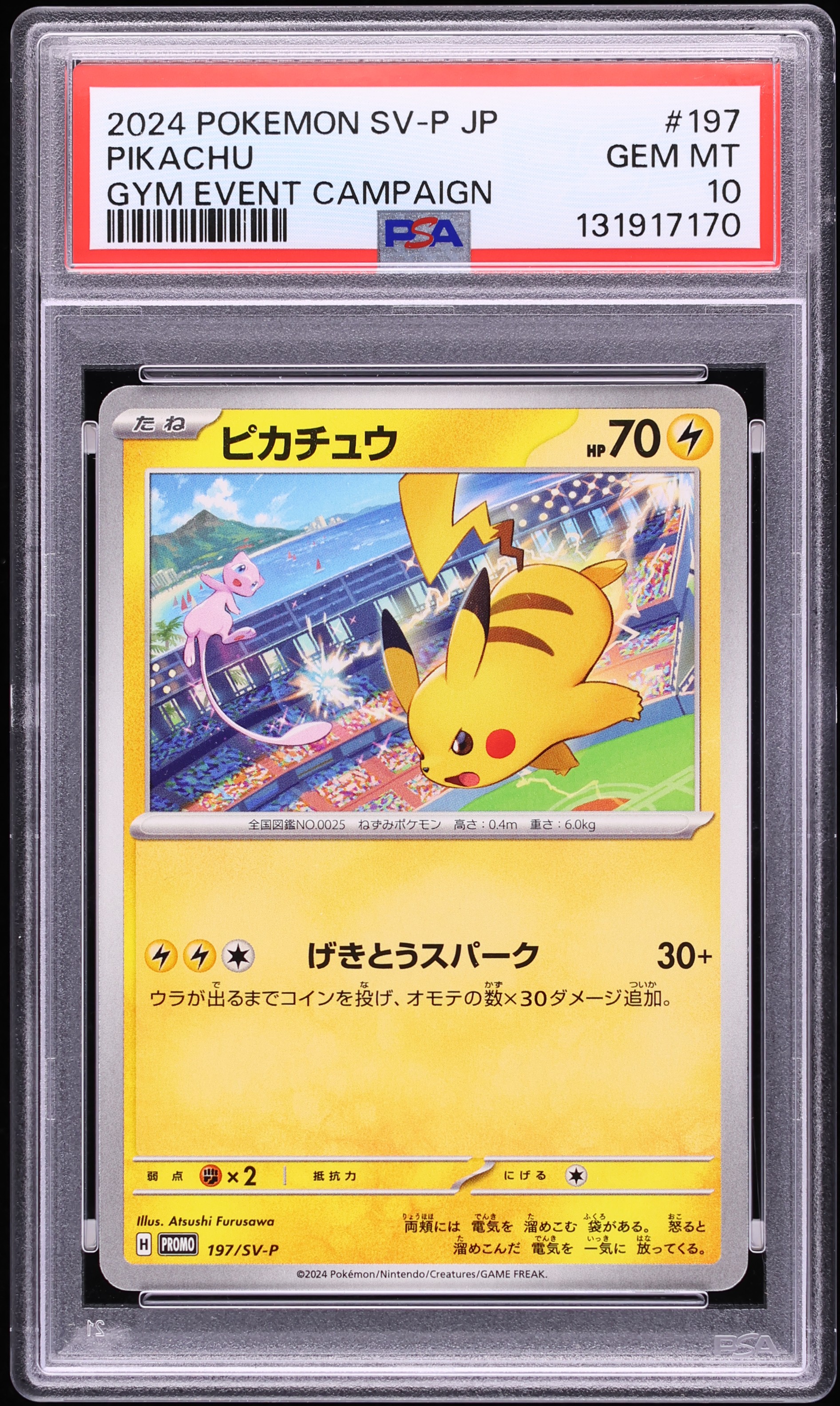 2024 Pokemon Japanese Scarlet & Violet Promo Gym Event Campaign