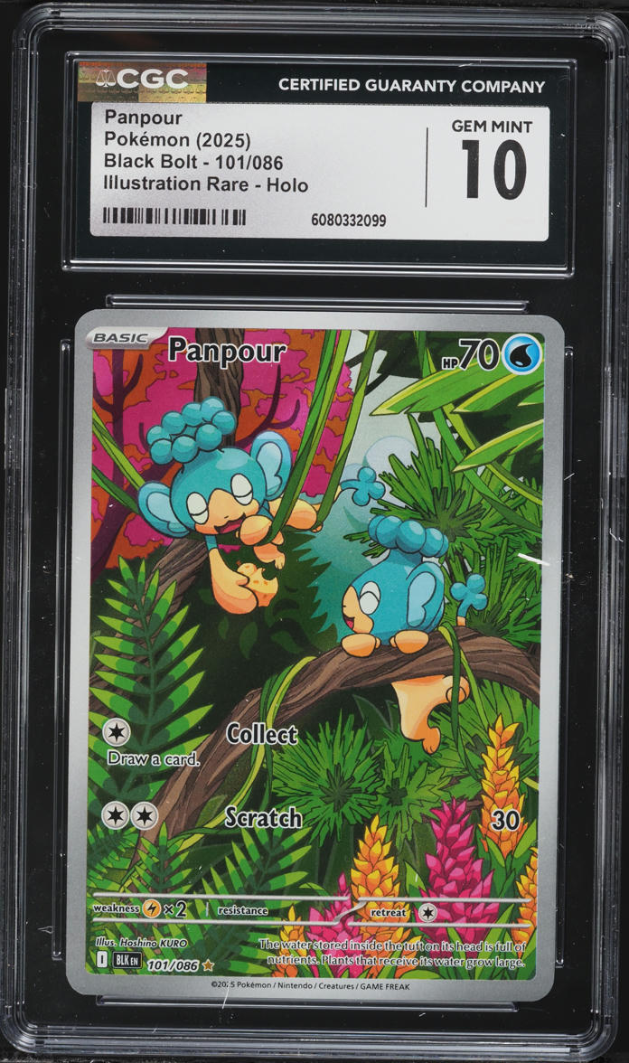 2025 Pokemon Scarlet & Violet Black Bolt IR Panpour #101 CGC 10 GEM MINT