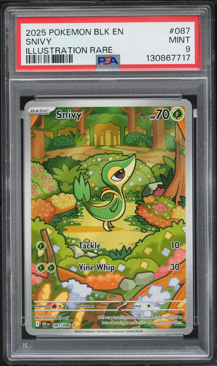 2025 Pokemon Scarlet & Violet Black Bolt IR Snivy #87 PSA 9 MINT