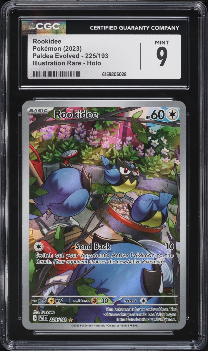 2023 Pokemon Scarlet & Violet Paldea Evolved IR Rookidee #225 CGC 9 MINT