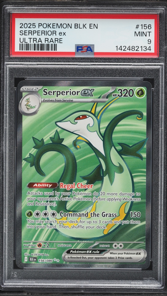 2025 Pokemon Scarlet & Violet Black Bolt Full Art Serperior ex #156 PSA 9 MINT