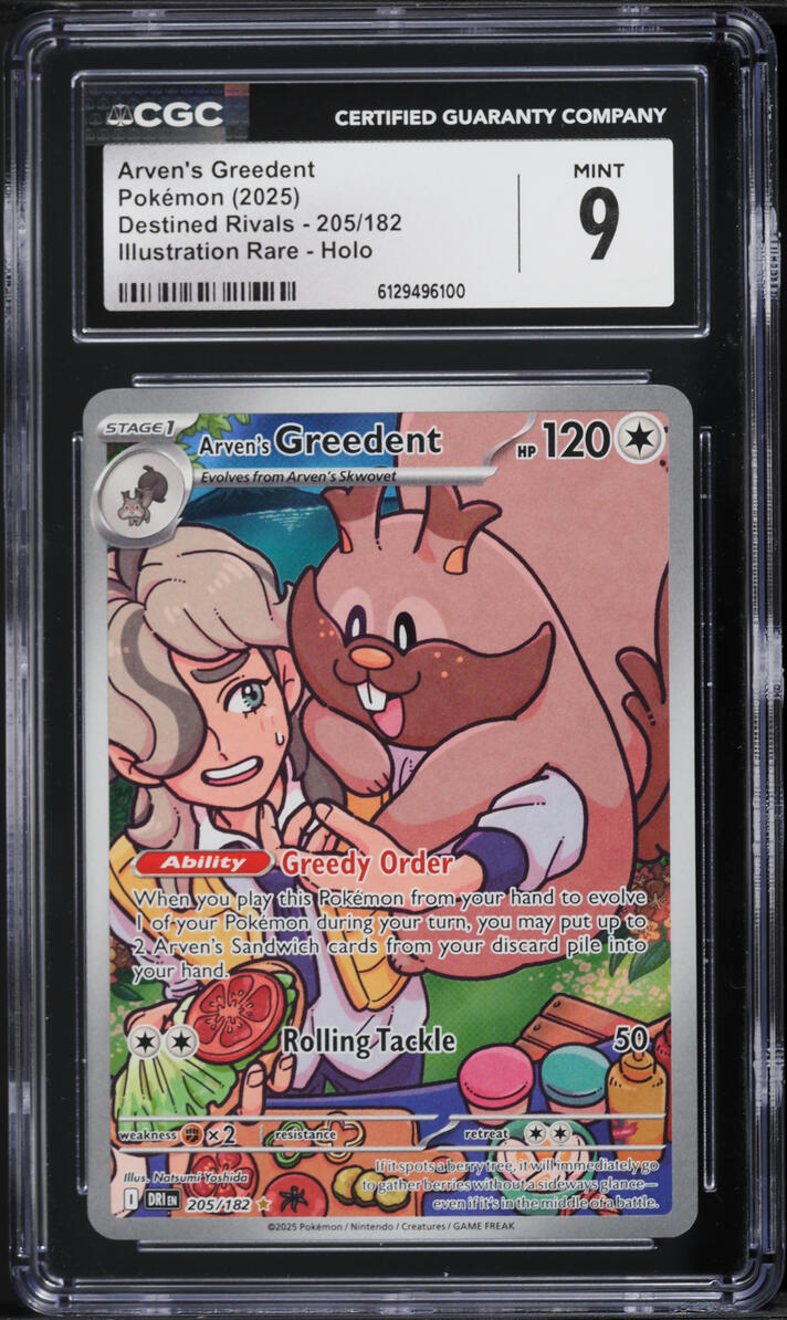 2025 Pokemon Scarlet & Violet Destined Rivals IR Arven's Greedent #205 CGC 9 MINT