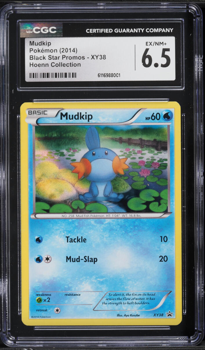 2014 Pokemon XY Black Star Promo Hoenn Collection Mudkip #XY38 CGC 6.5 EXMT+