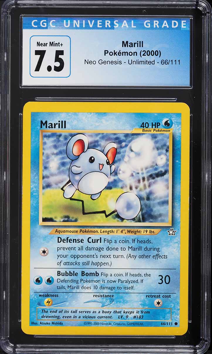 2000 Pokemon Neo Genesis Marill #66 CGC 7.5 NRMT+