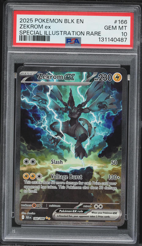 ゼクロムex BWR Zekrom ex BWR GEM MT 10 PSA10 ゼクロムex BWR Zekrom ex BWR GEM MT 10 PSA10 PSA 10 Zekrom