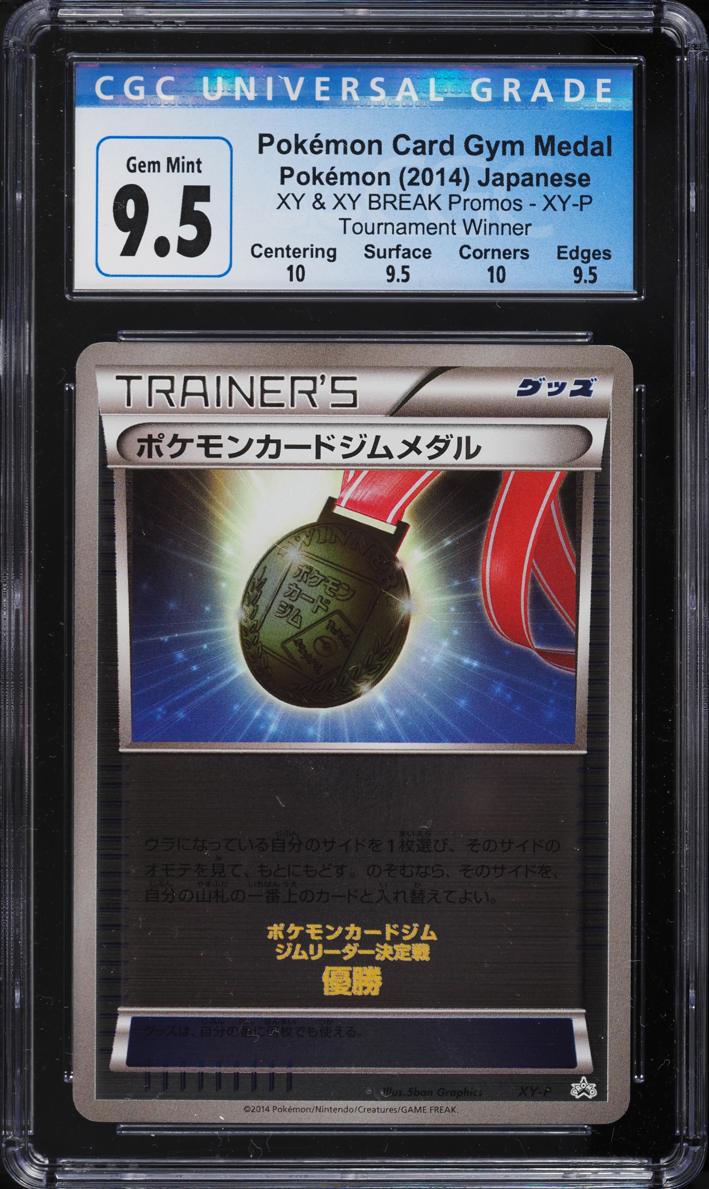 TournaMent ヒップガード ブラック/ゴールド Express Victory Championship Belt