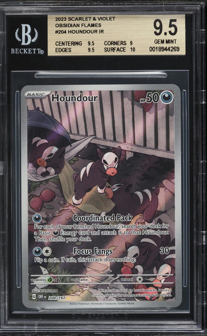 2023 Pokemon Scarlet & Violet Obsidian Flames IR Houndour #204 BGS 9.5 GEM MINT