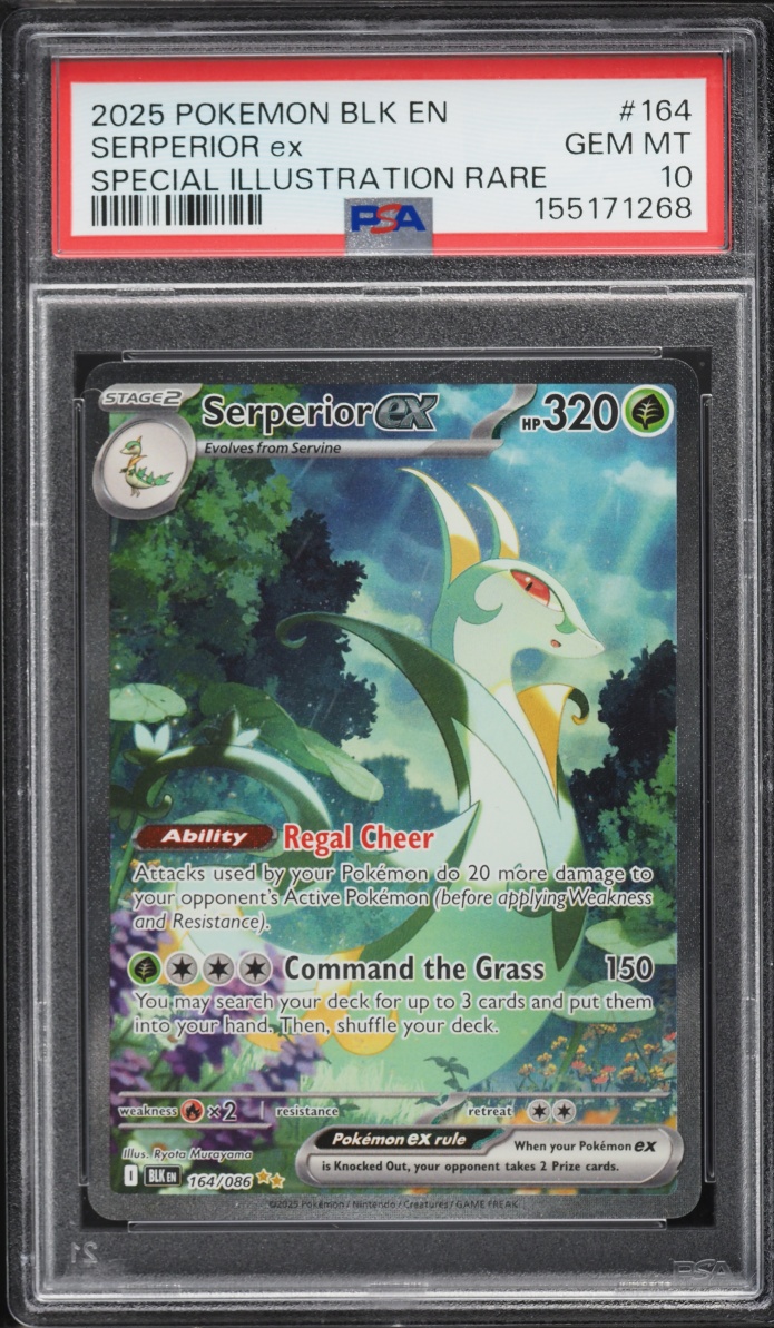 2025 Pokemon Scarlet & Violet Black Bolt SIR Serperior Ex #164 PSA 10 GEM MINT