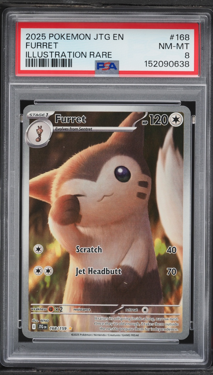 2025 Pokemon Scarlet & Violet Journey Together IR Furret #168 PSA 8 NM-MT