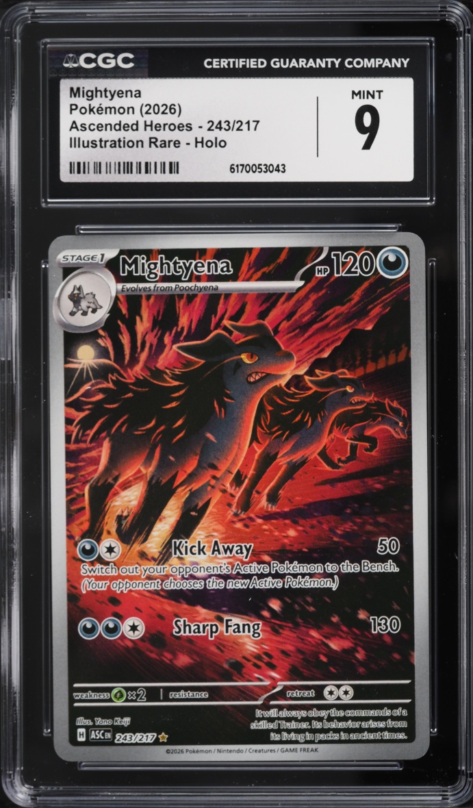 2026 Pokemon Mega Evolution Ascended Heroes IR Mightyena #243 CGC 9 MINT
