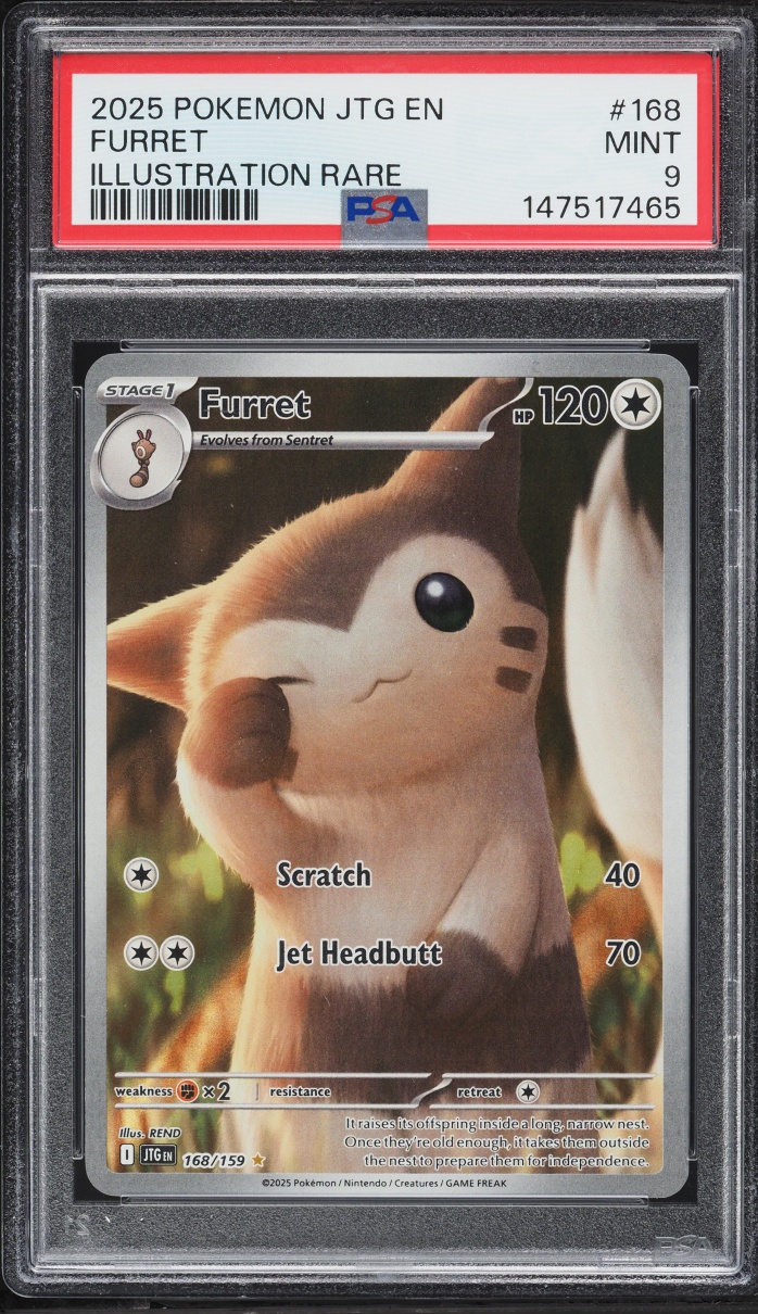2025 Pokemon Scarlet & Violet Journey Together IR Furret #168 PSA 9 MINT