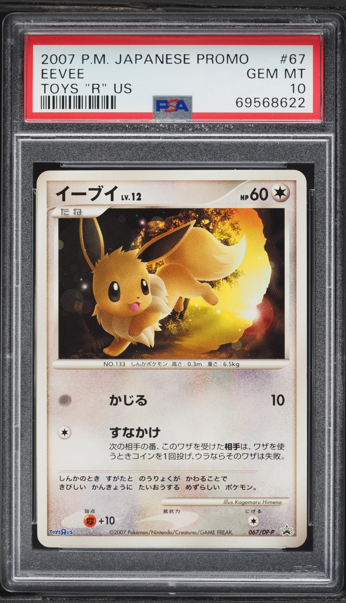 2007 Pokemon Japanese Diamond & Pearl Promo Toys "R" Us Eevee #67 PSA 10 GEM MINT