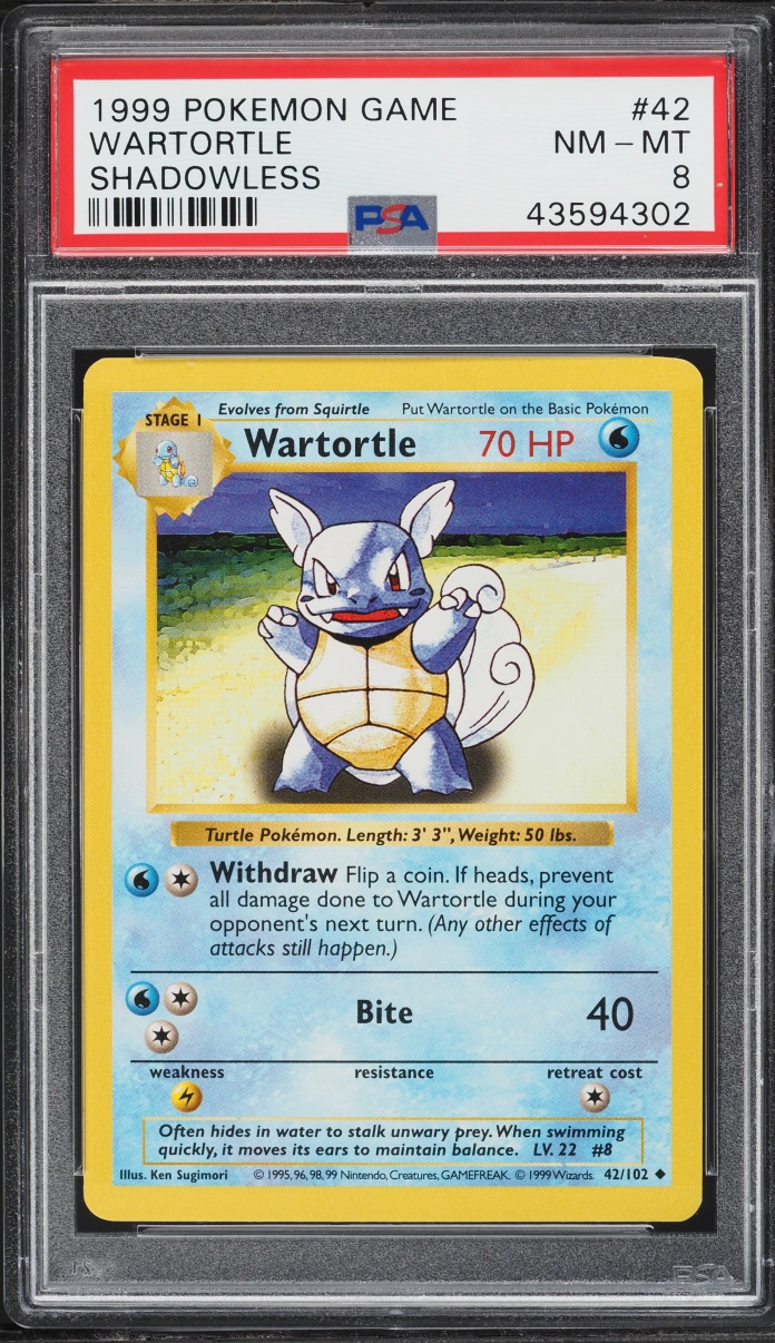1999 Pokemon Base Set Shadowless Wartortle #42 PSA 8 NM-MT