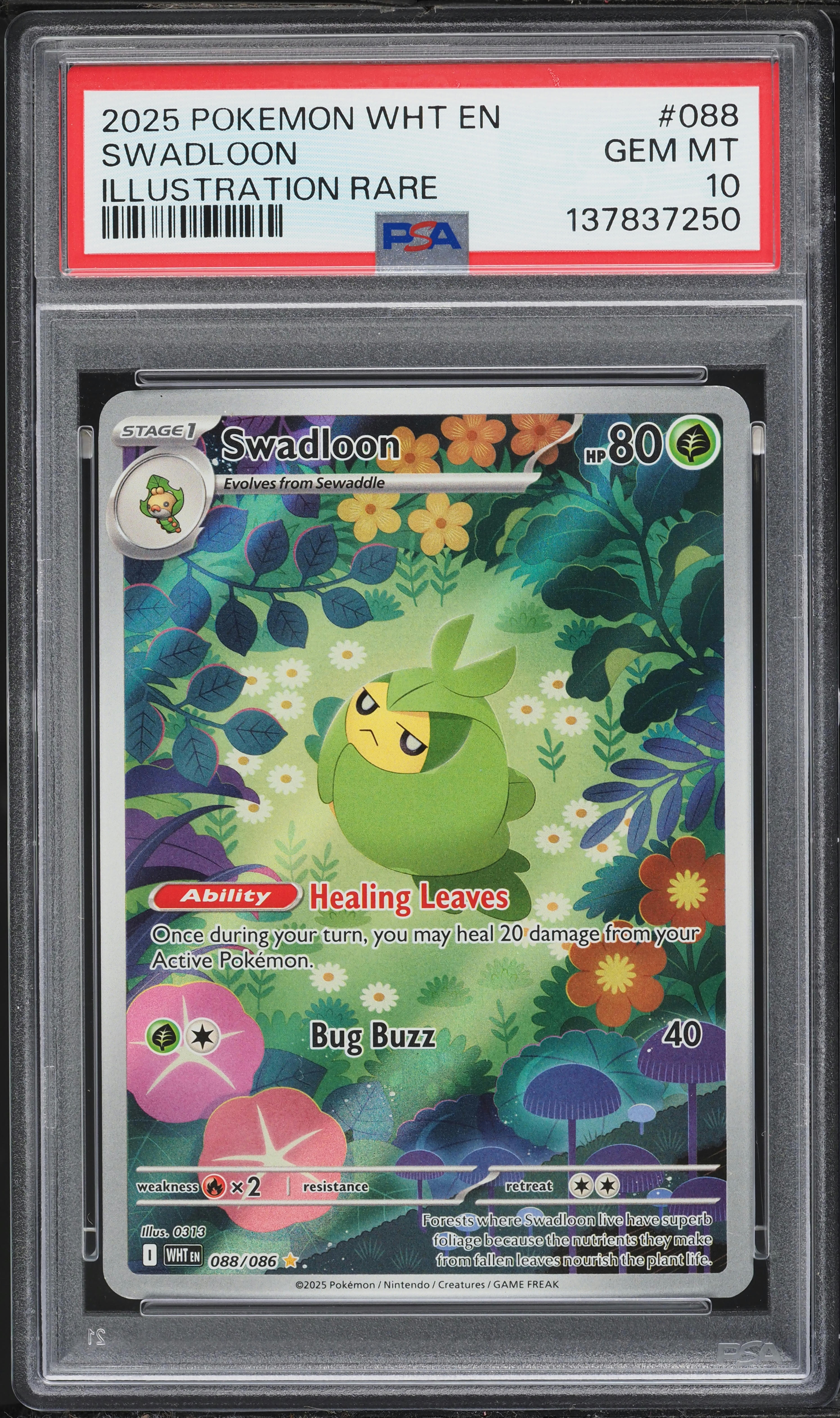 2025 Pokemon Scarlet & Violet White Flare IR Swadloon #88 PSA 10 GEM MINT