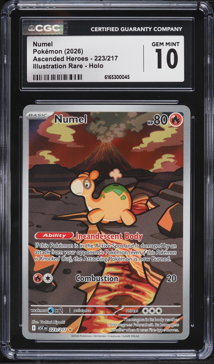 2026 Pokemon Mega Evolution Ascended Heroes IR Numel #223 CGC 10 GEM MINT