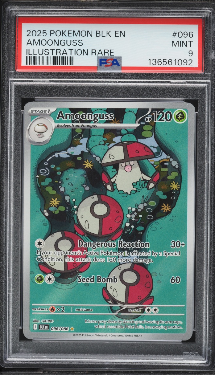 2025 Pokemon Scarlet & Violet Black Bolt IR Amoonguss #096 PSA 9 MINT