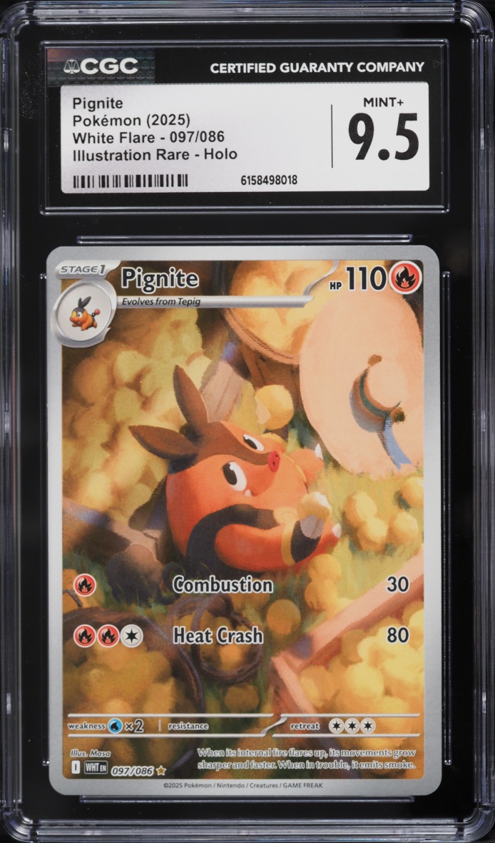 2025 Pokemon Scarlet & Violet White Flare IR Pignite #97 CGC 9.5 MINT+